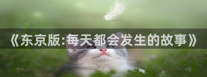 拷贝漫画ios免费下载：《东京版:每天都会发生的故事》